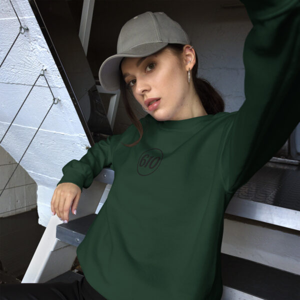 SUDADERA BASIC 610 - Imagen 4